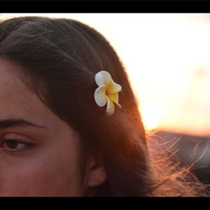 Meet your Posher, Bella